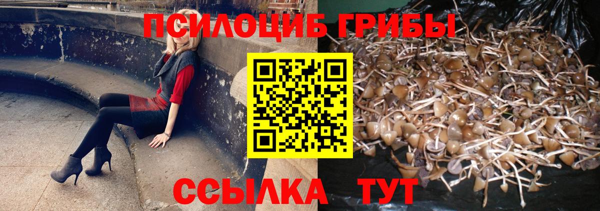 Псилоцибиновые грибы MAGIC MUSHROOMS Гагарин